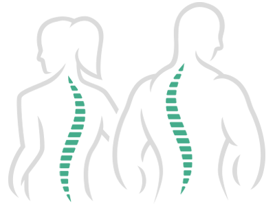 Spine Figures Graphics Spine Figures Graphics